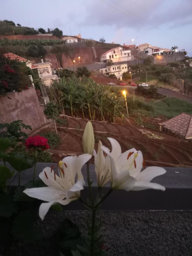 ポンタ・ド・ソル Casa-Albatrosヴィラ エクステリア 写真